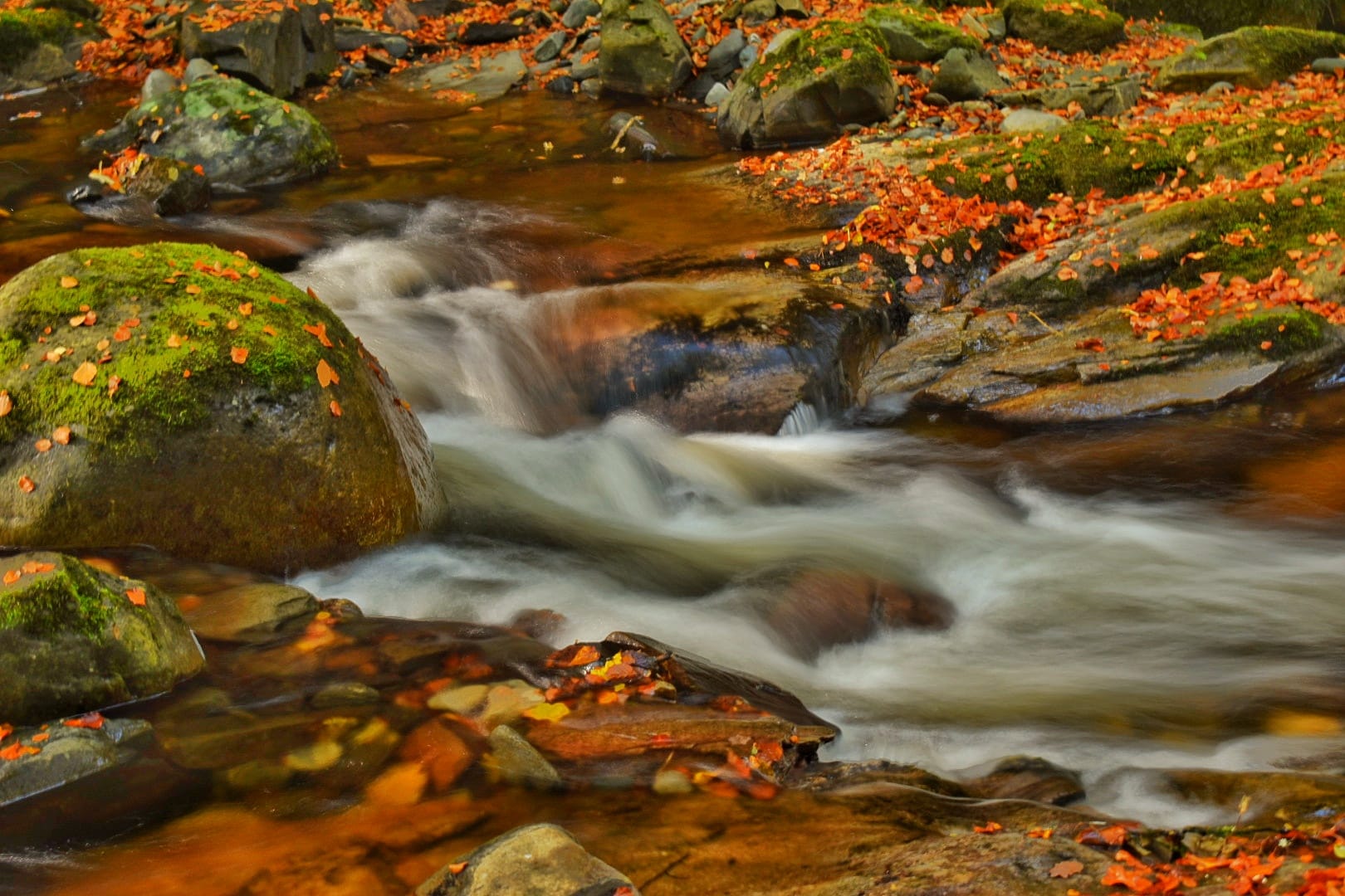 Autumn & Halloween in Northumberland: A Season of Colour, Cosiness & Chills